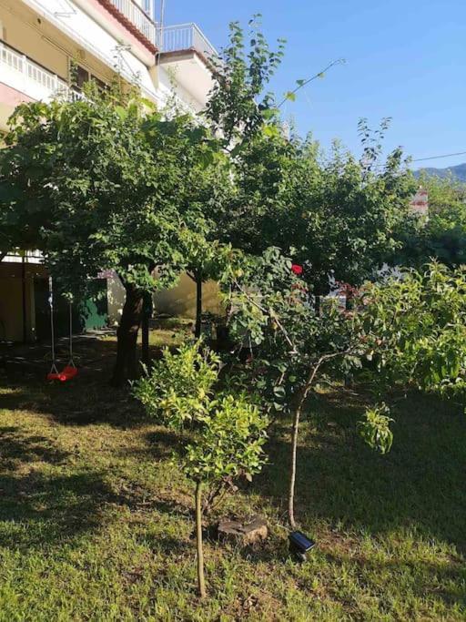 Evangelias House! Apartment Stavros  Exterior photo